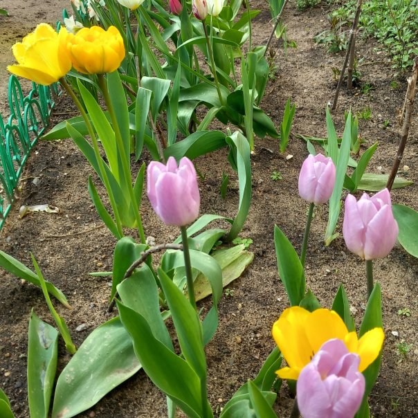 превью изображения отзыва