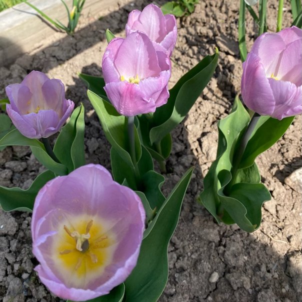 превью изображения отзыва