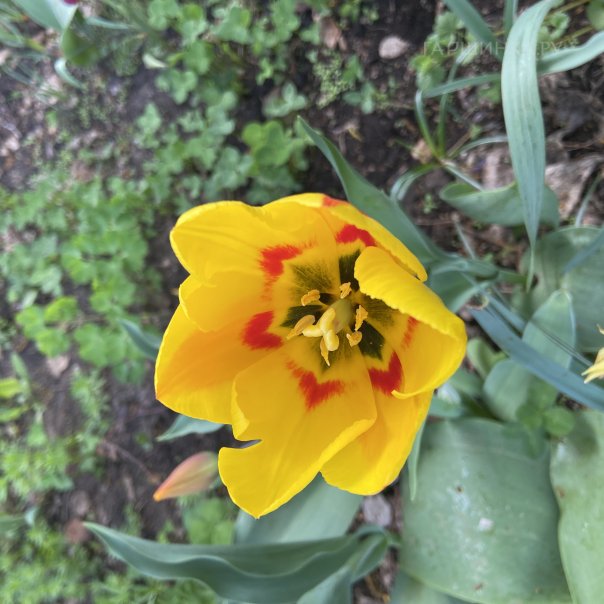 превью изображения отзыва