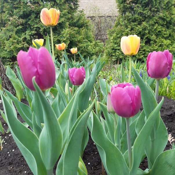 превью изображения отзыва