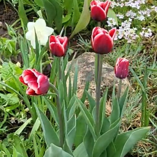 превью изображения отзыва