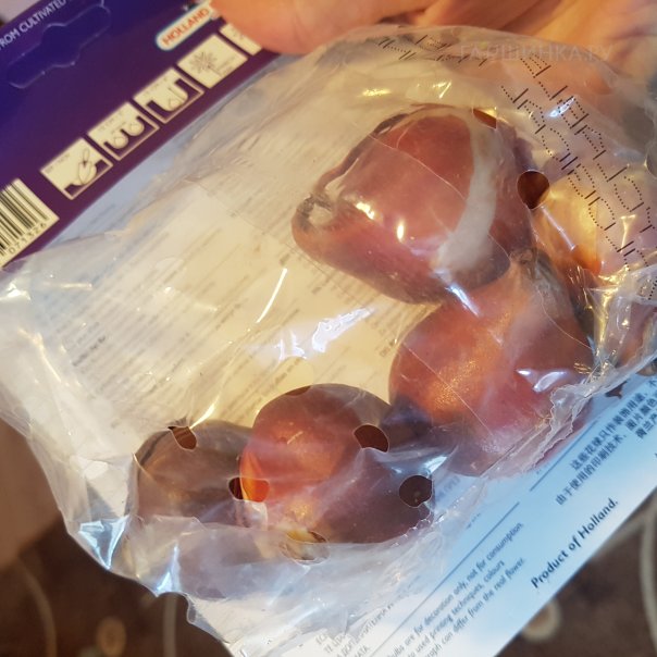 превью изображения отзыва