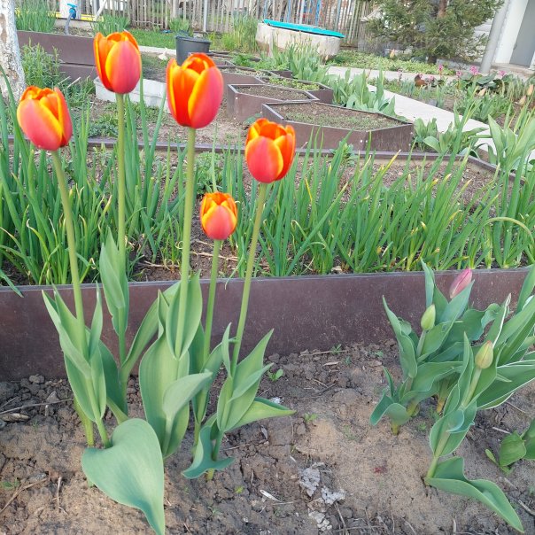 превью изображения отзыва