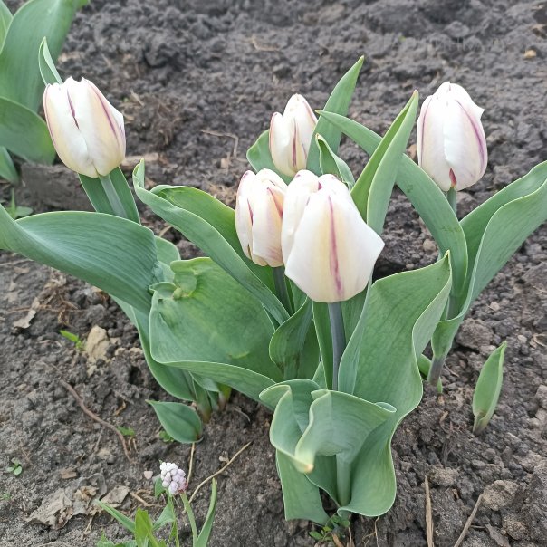 превью изображения отзыва