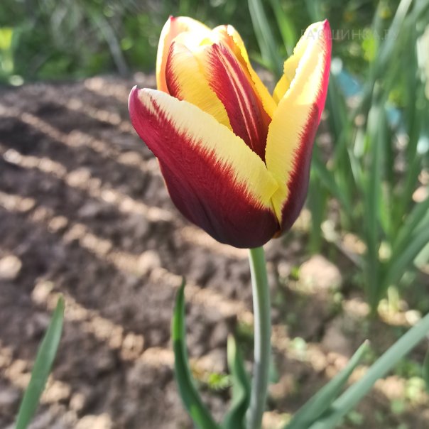 превью изображения отзыва