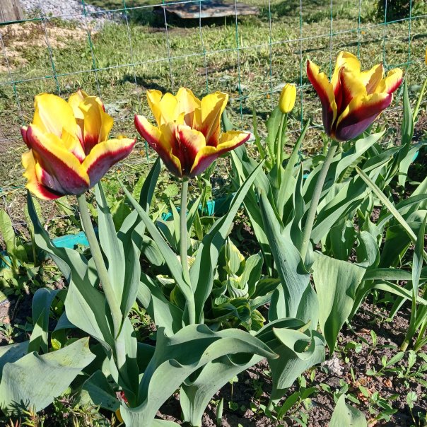 превью изображения отзыва