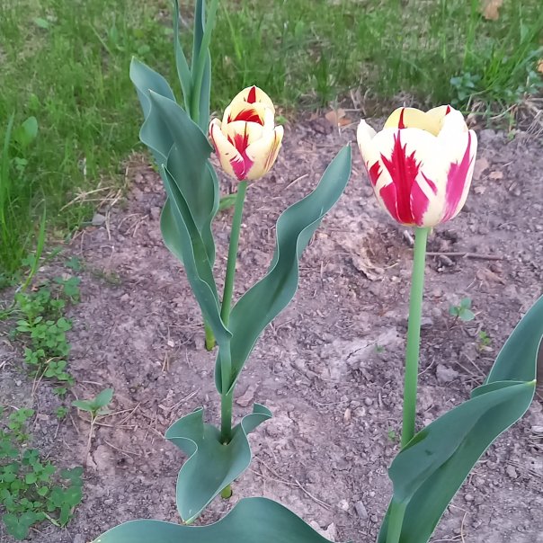 превью изображения отзыва