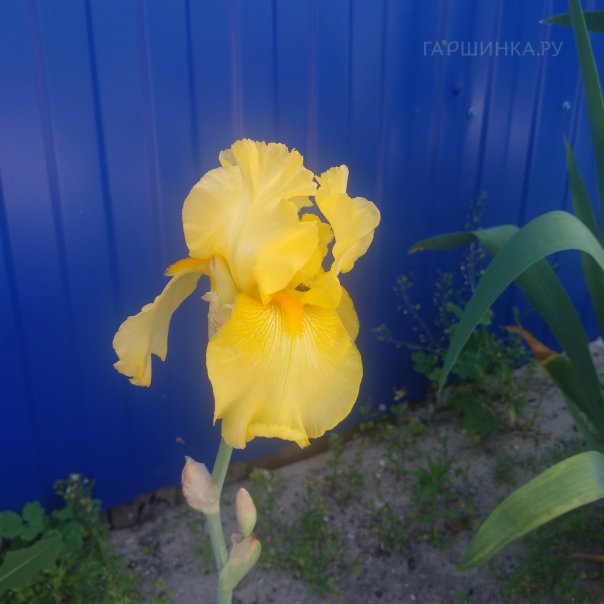 превью изображения отзыва