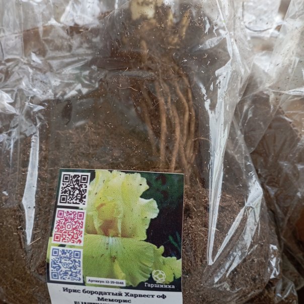 превью изображения отзыва