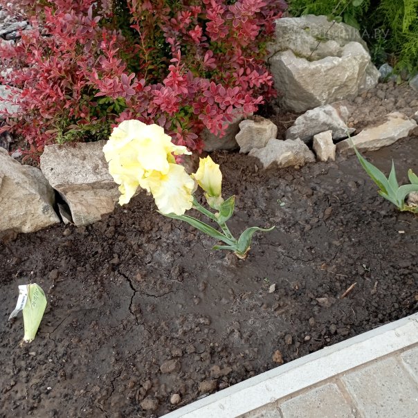 превью изображения отзыва