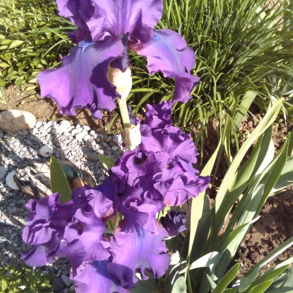 превью изображения отзыва