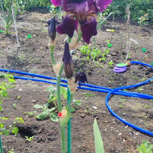 превью изображения отзыва