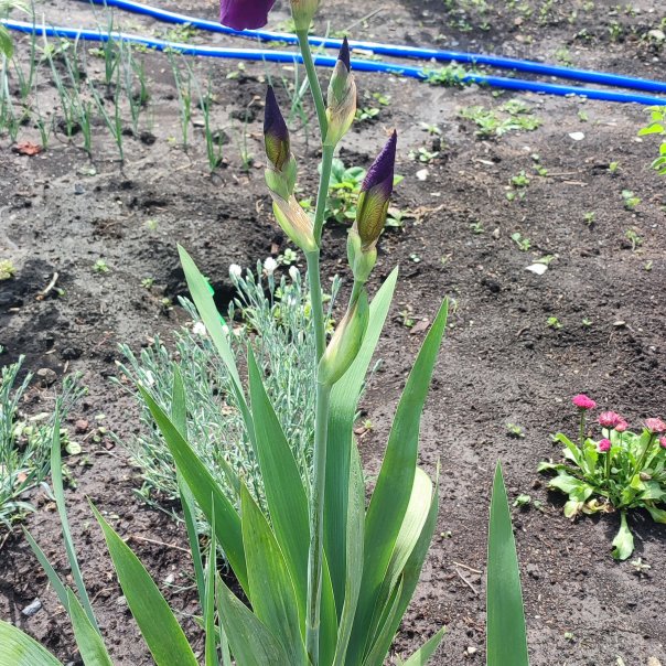 превью изображения отзыва