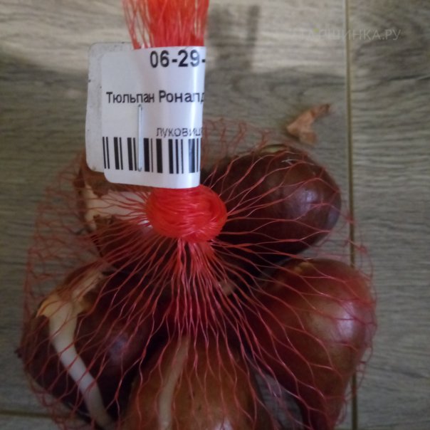 превью изображения отзыва