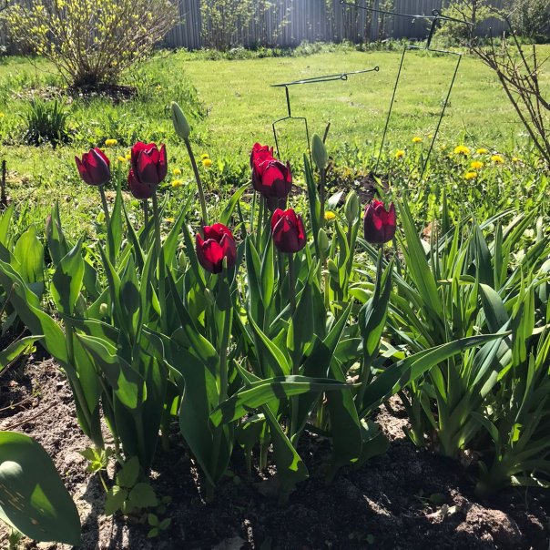 превью изображения отзыва