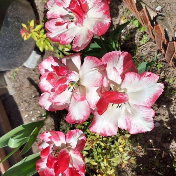 превью изображения отзыва