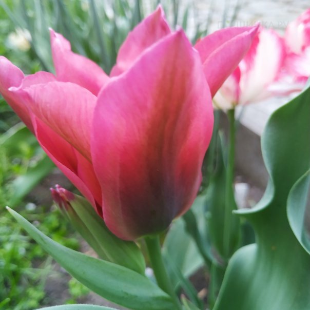 превью изображения отзыва