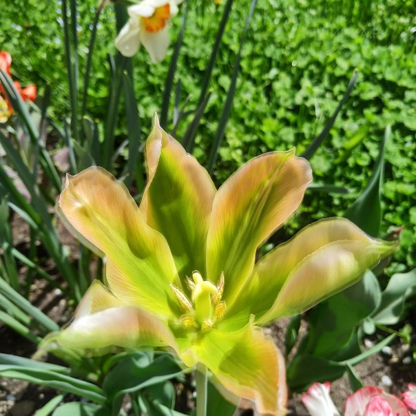 превью изображения отзыва