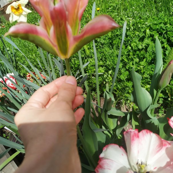 превью изображения отзыва