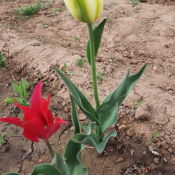 превью изображения отзыва