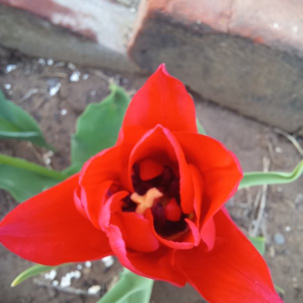 превью изображения отзыва