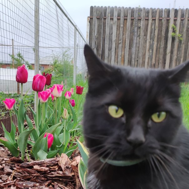 превью изображения отзыва