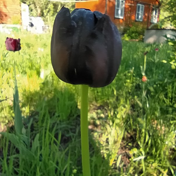 превью изображения отзыва