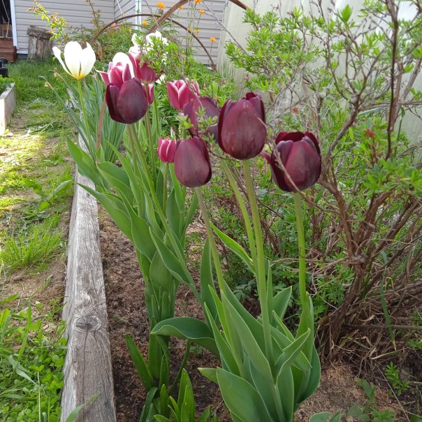 превью изображения отзыва