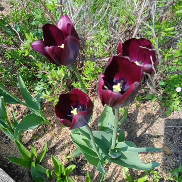 превью изображения отзыва