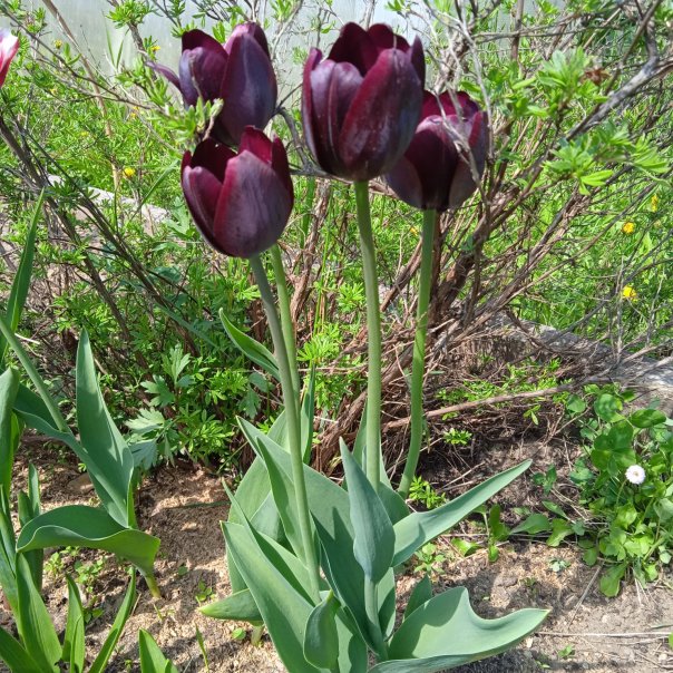 превью изображения отзыва