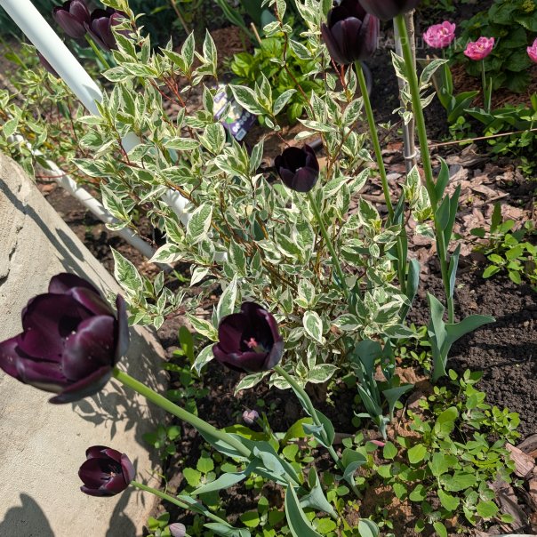 превью изображения отзыва