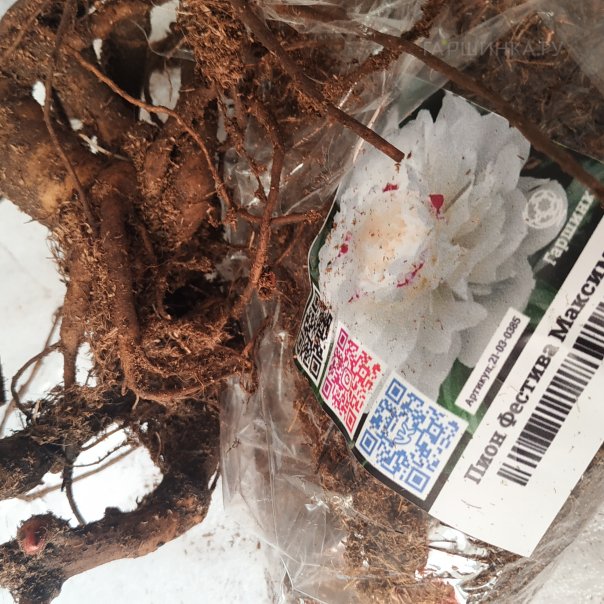 превью изображения отзыва