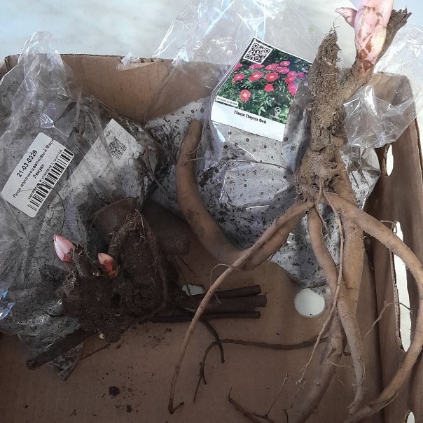 превью изображения отзыва