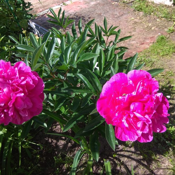 превью изображения отзыва