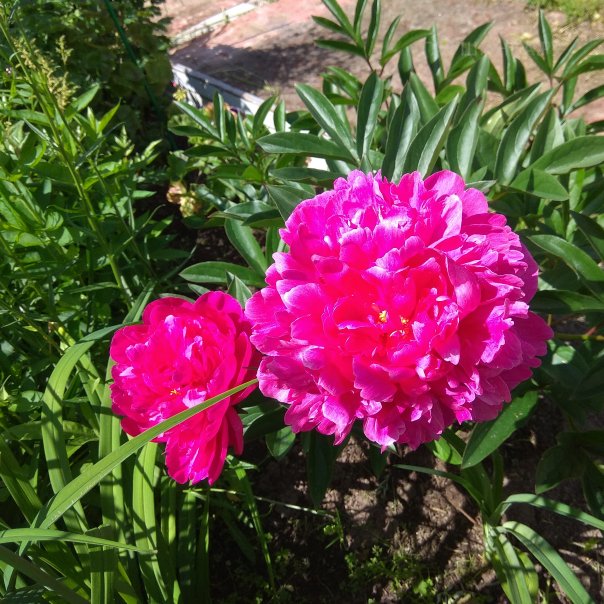 превью изображения отзыва