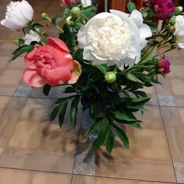 превью изображения отзыва