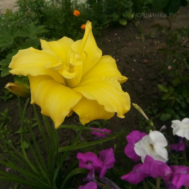 превью изображения отзыва