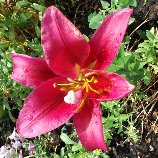 превью изображения отзыва