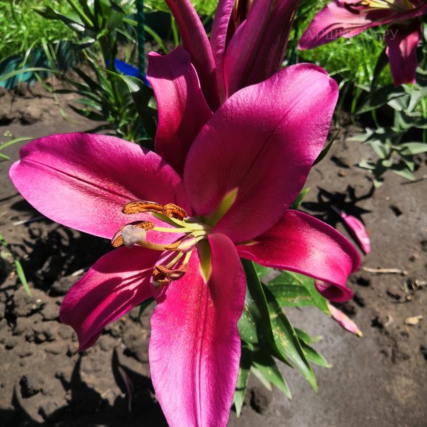 превью изображения отзыва