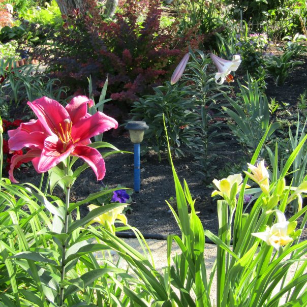 превью изображения отзыва