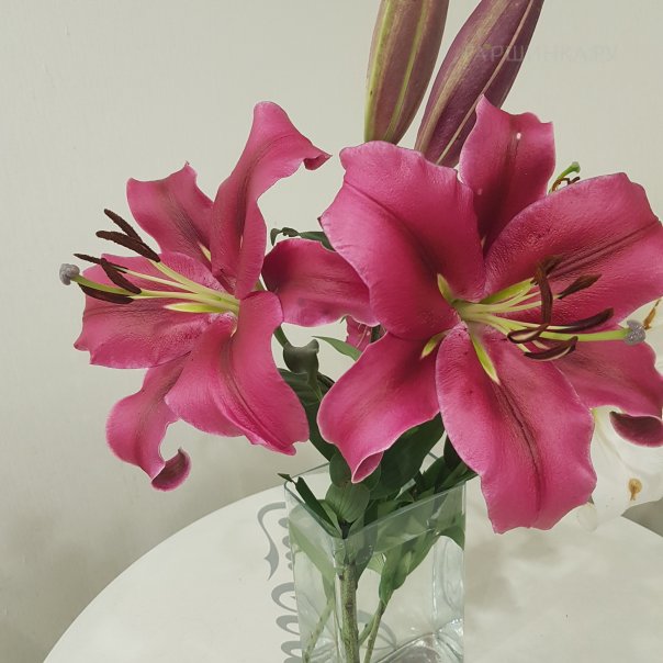 превью изображения отзыва