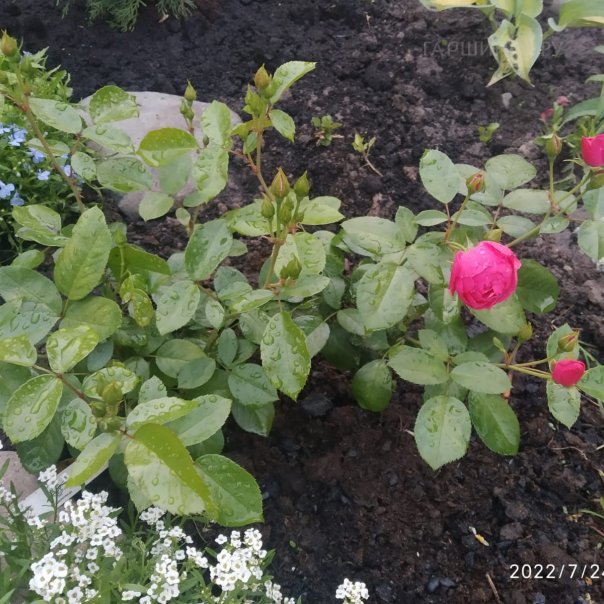 превью изображения отзыва