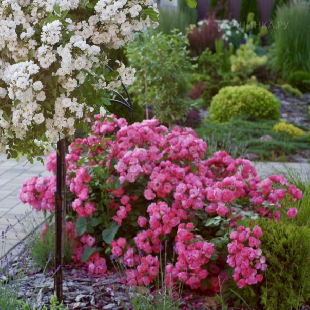 превью изображения отзыва