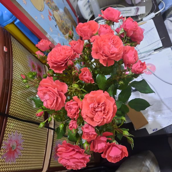 превью изображения отзыва