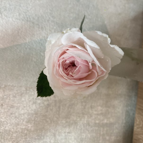 превью изображения отзыва