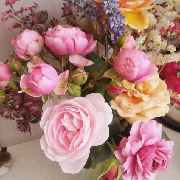 превью изображения отзыва