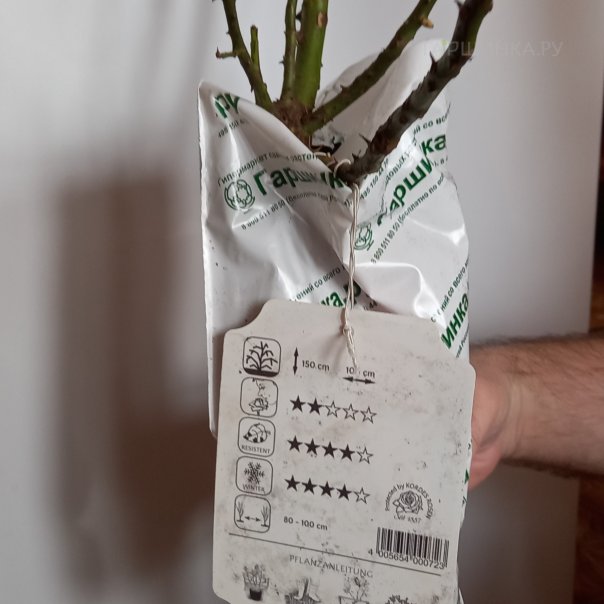 превью изображения отзыва