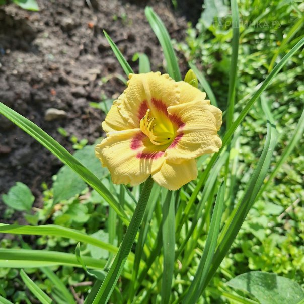 превью изображения отзыва