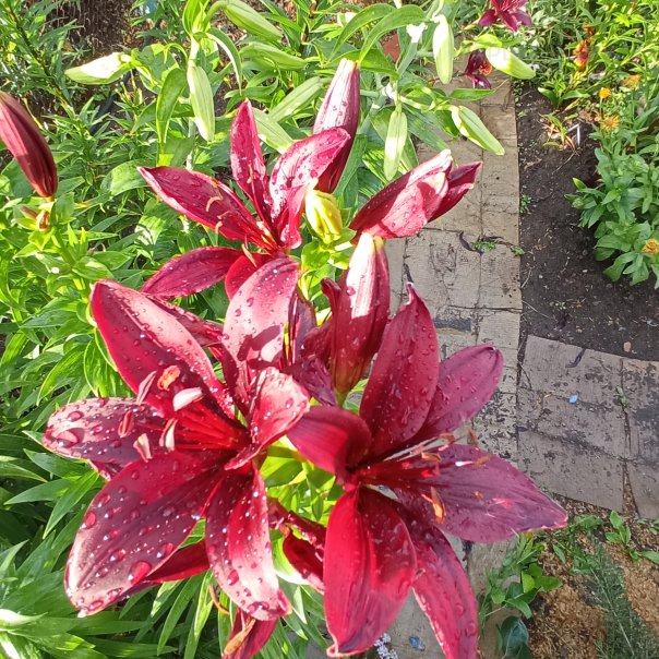 превью изображения отзыва