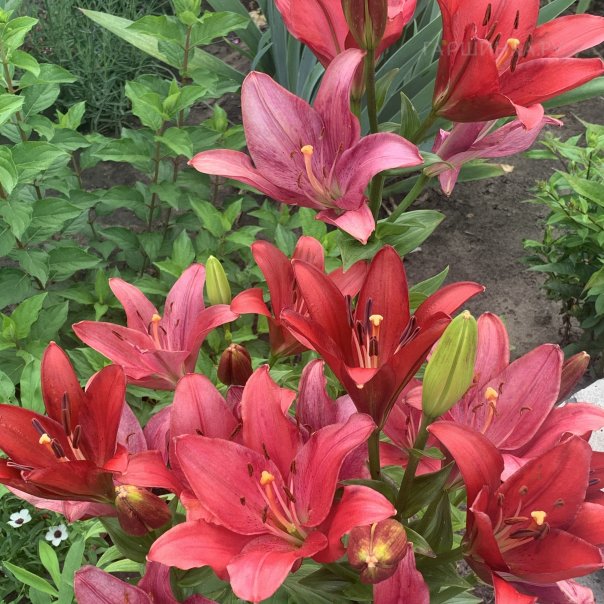 превью изображения отзыва